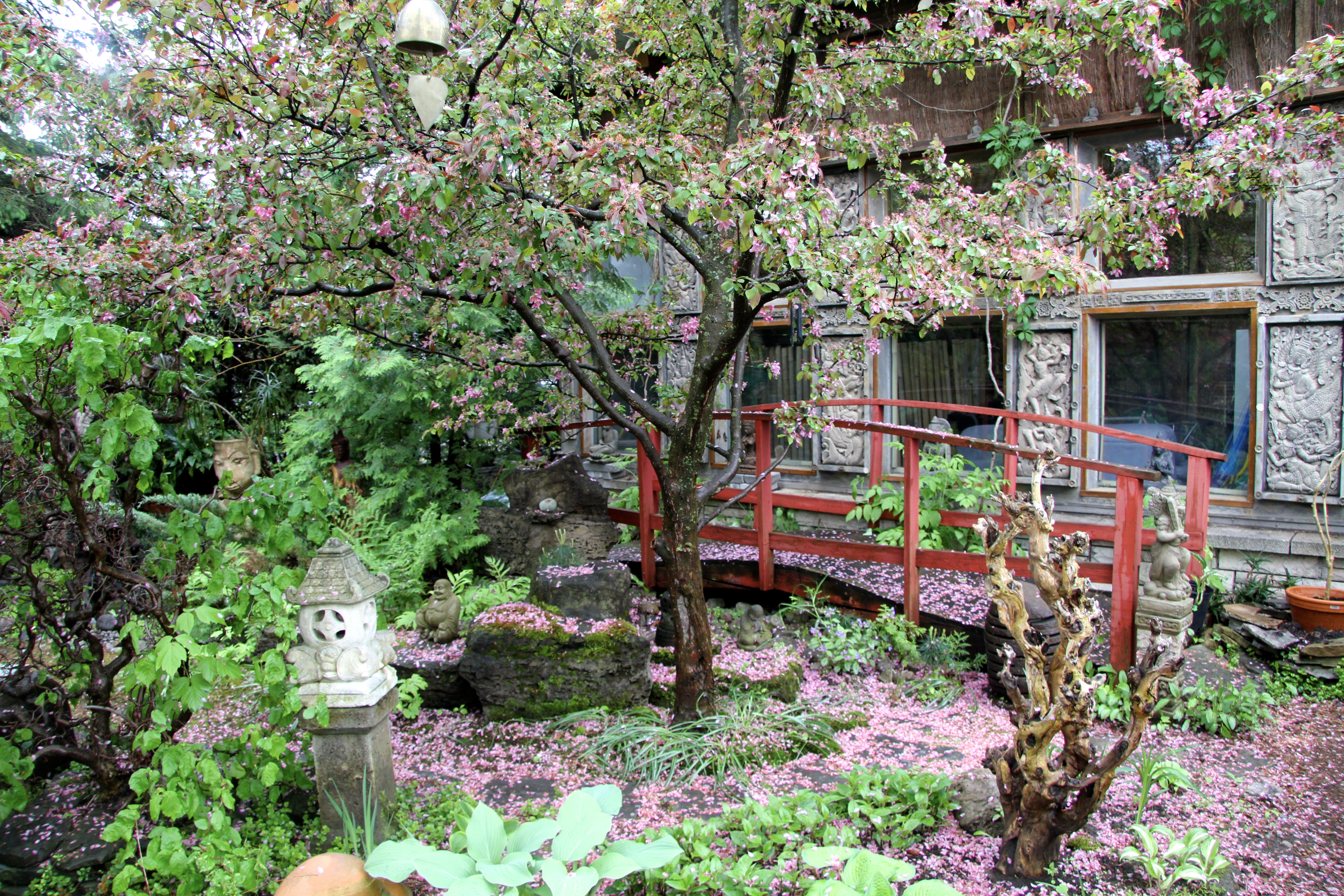 Jardin Steve