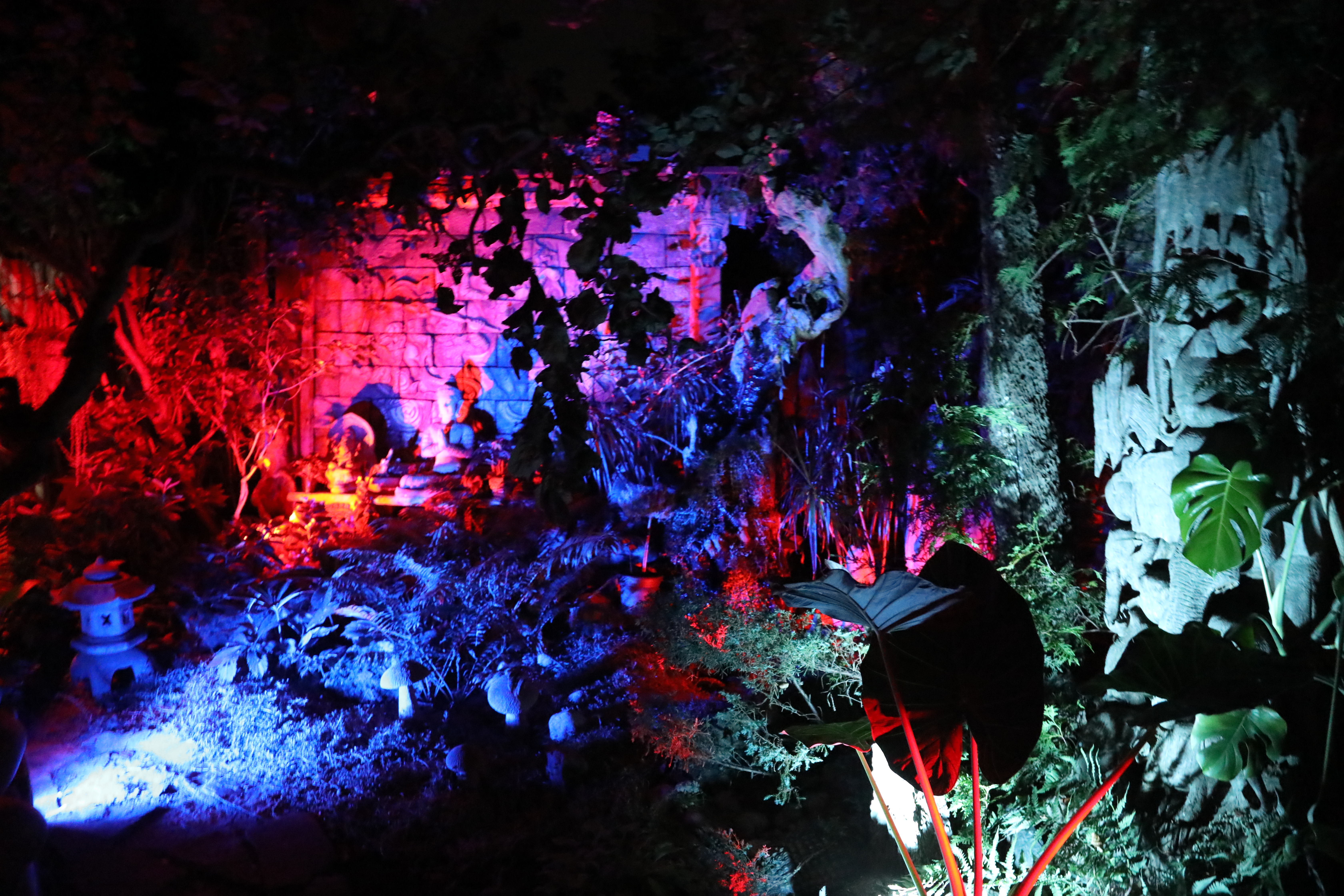 Jardin nuit 2